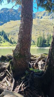 Foto von don_pejote entlang der Tour