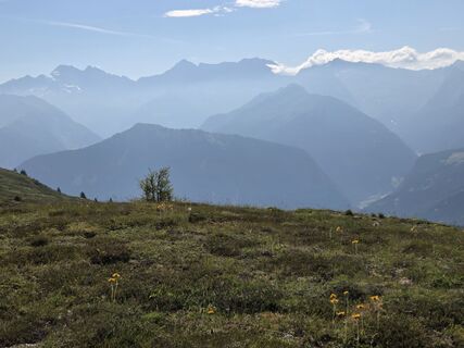 Photo de Helli Leiter le long du parcours