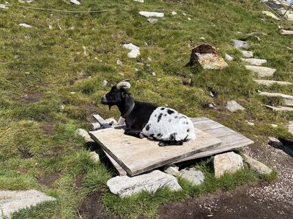 Photo de sinko le long du parcours