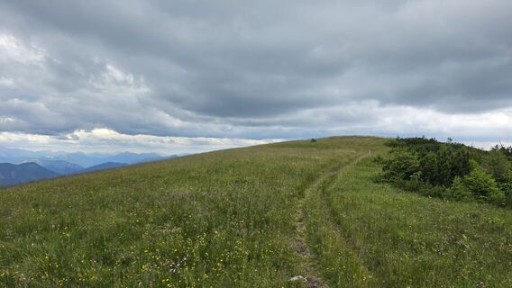 Foto von EP87 entlang der Tour