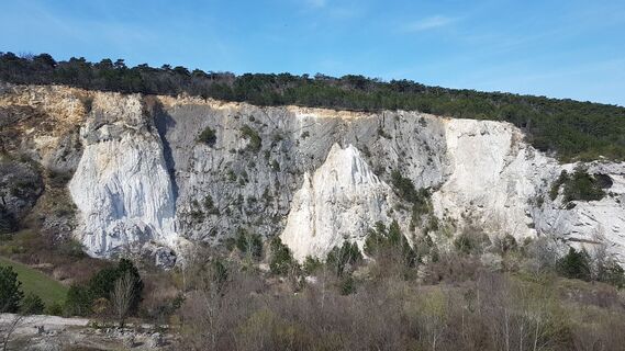 Fotografia z Bernard na trase