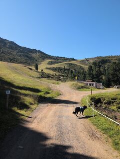 Fotografija s spletne strani Benjamin Bergmann na poti