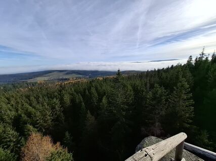 Foto von Wollomator entlang der Tour