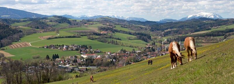 Lindenhof Krumbach