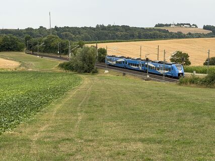 Foto von Schaali entlang der Tour