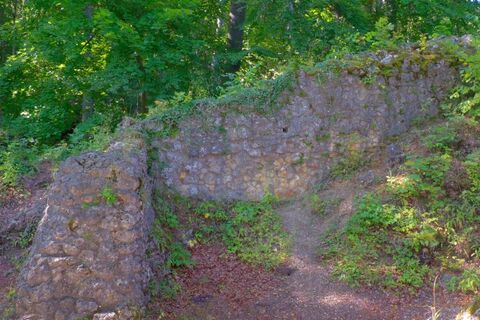 Ruine der Burg Alt-Lichtenstein