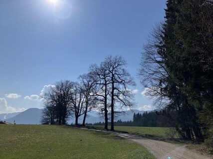 Foto fra Meinrad Föger underveis på turen