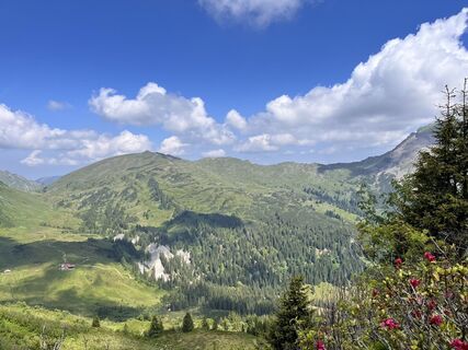 Foto von Susanne Gabler entlang der Tour