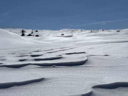 Photo de Petra Egger le long du parcours
