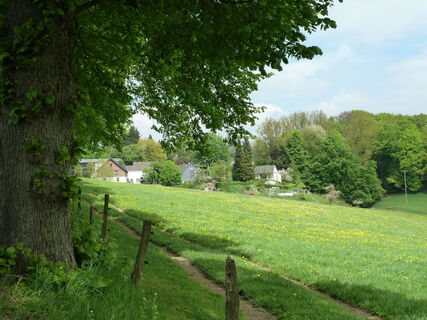 Streifzug Mühlenweg