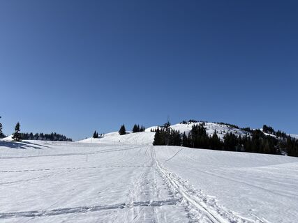 Foto von Heinz Sperl entlang der Tour