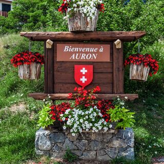Willkommen in Auron