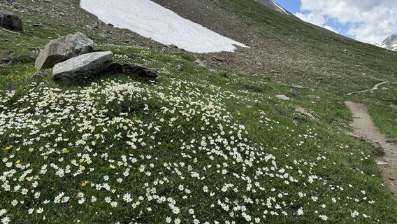 Fotó a peter_oe honlapról a túra során