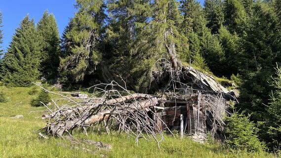 Fotografia z Erich Graf 2 na trase