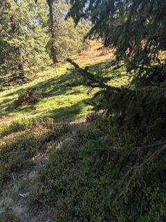 Fotografija s spletne strani Stephan Laube na poti