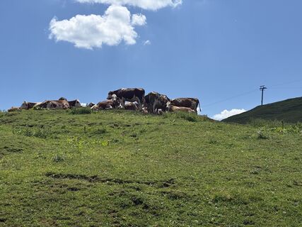 Foto de Stephan Langeveld 1 a lo largo del recorrido