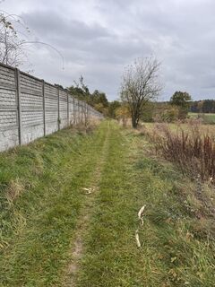 Fotografija s spletne strani Iwona Bambacht na poti