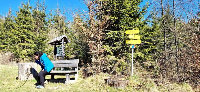 Foto de Sandy a lo largo del recorrido