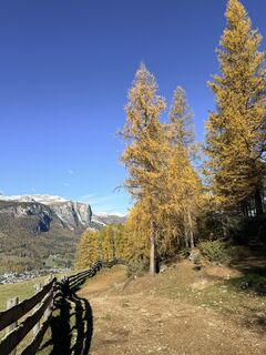 Photo de Gianluca Bucciantini le long du parcours