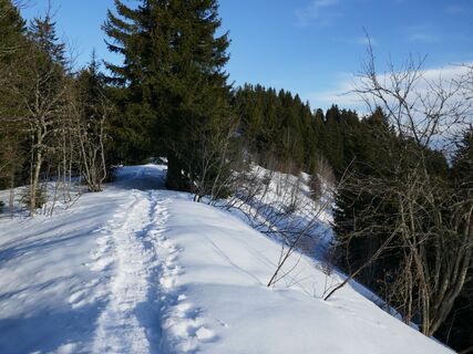 Schneeschuhtrail-Panoramawegtrail