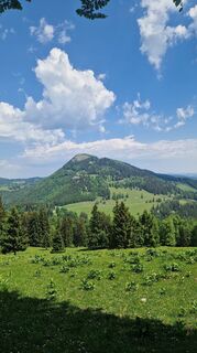 Foto von Roland Wondra entlang der Tour
