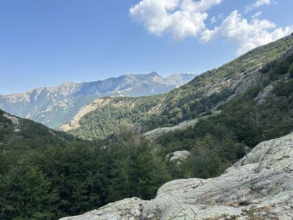 Fotografija s spletne strani DML na poti
