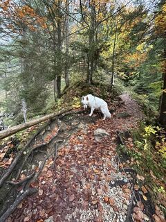 Photo de Stephan Gerstmeier le long du parcours