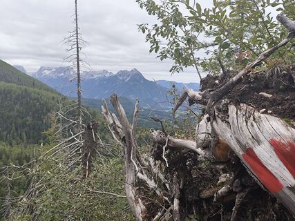 Foto von Edith K. entlang der Tour