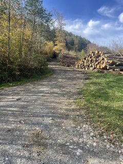 Fotografia z Thomas Gogl na trase