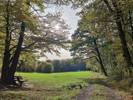 Natur und Kulturlandschaft am Fabelweg Lichte Blick