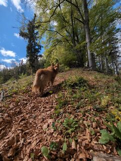 Photo de berggeist82 le long du parcours
