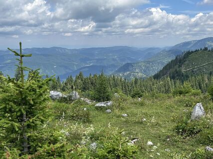 Fotografija s spletne strani Helmut Wieseneder na poti