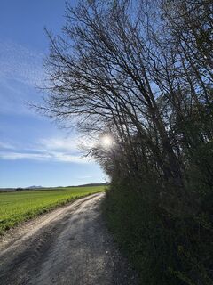 Zdjęcie z RS76 wzdłuż trasy