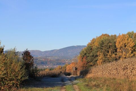 Zemljevid