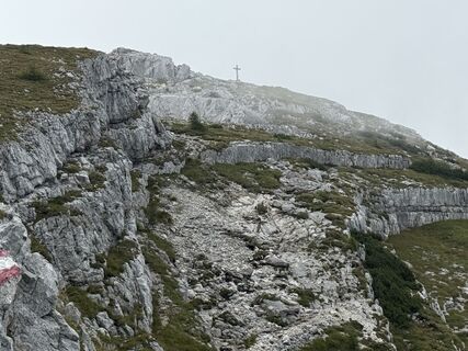 Foto von Natur_erleben_dg entlang der Tour
