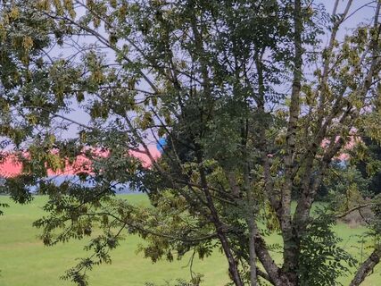 Foto de Christian Goissa a lo largo del recorrido