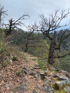 Landschaft