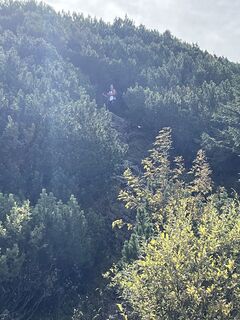 Foto von Andreas Geyer 1 entlang der Tour