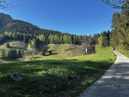 Photo de Anna-Lena Didjurgeit le long du parcours