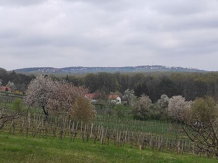 Foto von Làszló Visi entlang der Tour