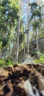 Foto von Priska Thomann-Bischofberger entlang der Tour