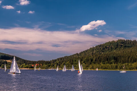 Segelboote am Schluchsee