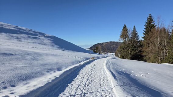 Foto von V Feurstein entlang der Tour