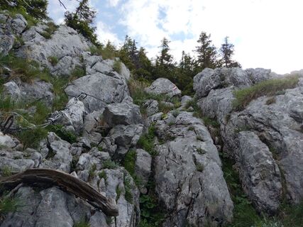 Foto från Wutha under resans gång