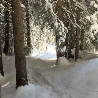 Schneeschuhroute