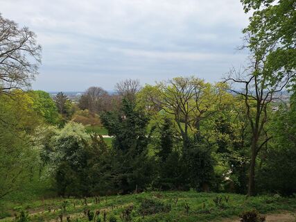 Photo de Reinlinde Trummer Milkovits le long du parcours