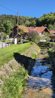 Foto von Manfred Gremer entlang der Tour