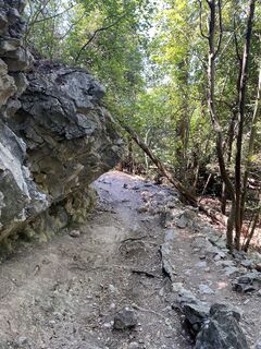 Zdjęcie z Oliver Offermann wzdłuż trasy