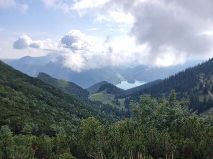 Fotografija s spletne strani Felix na poti