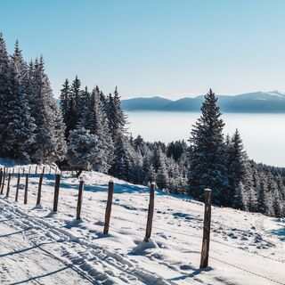 Der Wanderweg/die Naturrodelbahn zwischen Gießlhütte und Zechhütte